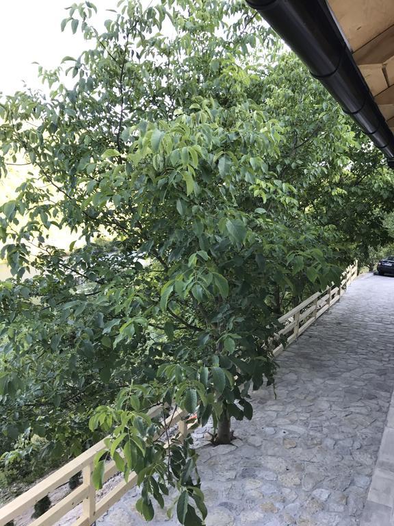 6 New River View Apartments Bihać Dış mekan fotoğraf